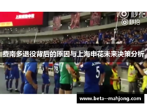 费南多退役背后的原因与上海申花未来决策分析
