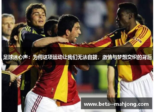 足球迷心声：为何这项运动让我们无法自拔，激情与梦想交织的背后
