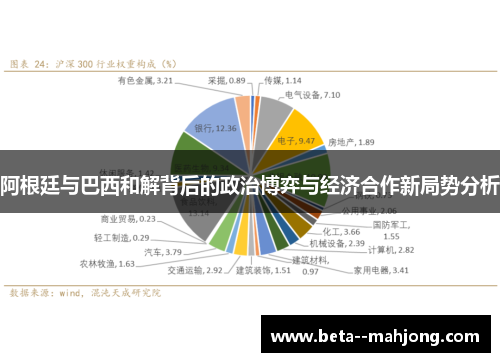 阿根廷与巴西和解背后的政治博弈与经济合作新局势分析 阿根廷与巴西和解背后的政治博弈与经济合作新局势分析