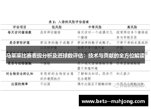 马莱莱比赛表现分析及进球数评估：技术与贡献的全方位解读