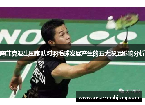 陶菲克退出国家队对羽毛球发展产生的五大深远影响分析