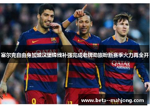 塞尔克自由身加盟汉堡锋线补强完成老牌劲旅盼新赛季火力再全开