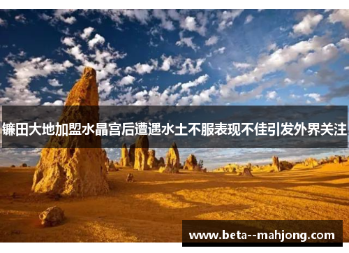 镰田大地加盟水晶宫后遭遇水土不服表现不佳引发外界关注 镰田大地加盟水晶宫后遭遇水土不服表现不佳引发外界关注