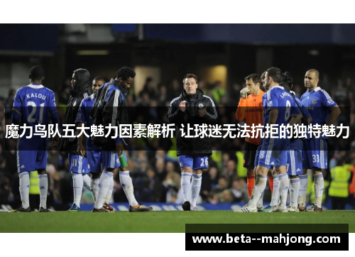 魔力鸟队五大魅力因素解析 让球迷无法抗拒的独特魅力